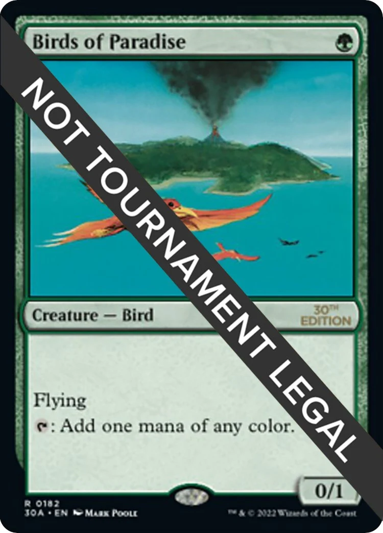 Birds of Paradise (182)
