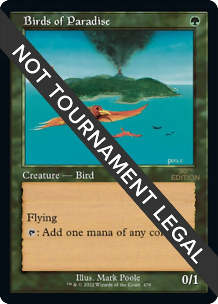 Birds of Paradise (Retro Frame) (479)